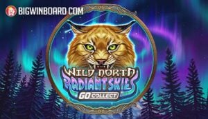 ขาย ฐาน ข้อมูล ลูกค้า เว็บพนัน ทดลองเล่น