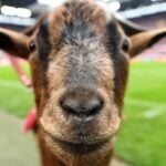 สูตรเด็ดที่พลาดไม่ได้กับสล็อต gtm แห่งยุคนี้