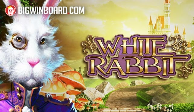 สูตรเล่น winner55 ฟรี เครดิต ให้ได้กำไรสูงสุด